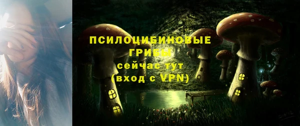 шишки Приозерск