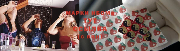 шишки Приозерск