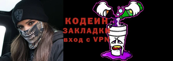 шишки Приозерск