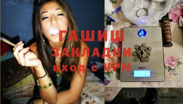 шишки Приозерск