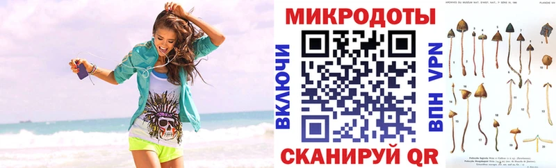 наркошоп  Тосно  Галлюциногенные грибы прущие грибы 